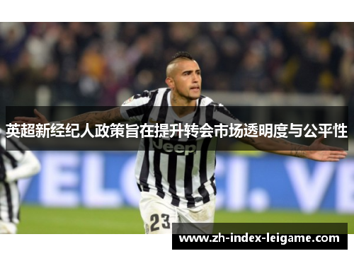 英超新经纪人政策旨在提升转会市场透明度与公平性 英超新经纪人政策旨在提升转会市场透明度与公平性