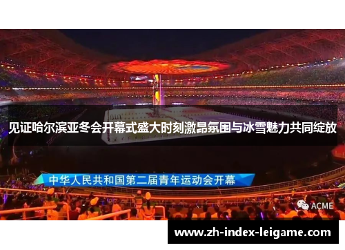 见证哈尔滨亚冬会开幕式盛大时刻激昂氛围与冰雪魅力共同绽放