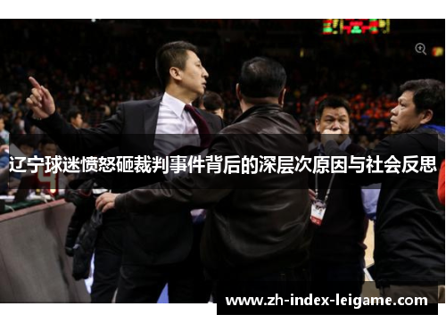 辽宁球迷愤怒砸裁判事件背后的深层次原因与社会反思