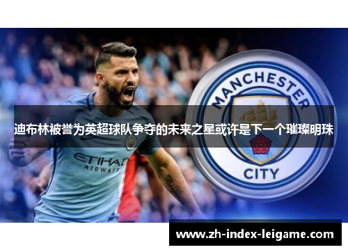 迪布林被誉为英超球队争夺的未来之星或许是下一个璀璨明珠