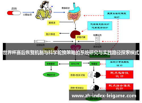 世界杯赛后恢复机制与科学轮换策略的系统研究与实践路径探索模式