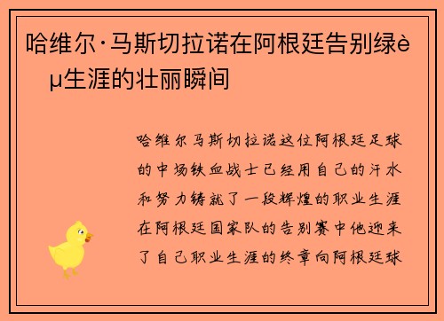 哈维尔·马斯切拉诺在阿根廷告别绿茵生涯的壮丽瞬间 哈维尔·马斯切拉诺在阿根廷告别绿茵生涯的壮丽瞬间
