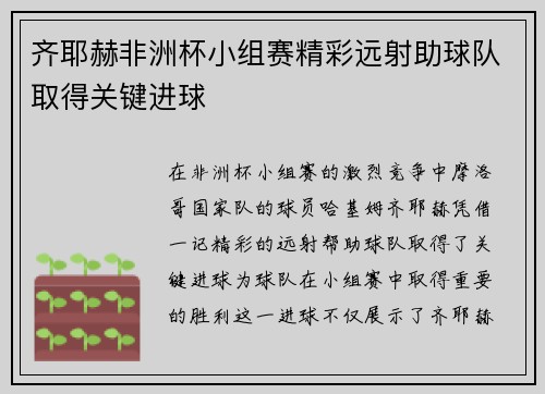 齐耶赫非洲杯小组赛精彩远射助球队取得关键进球